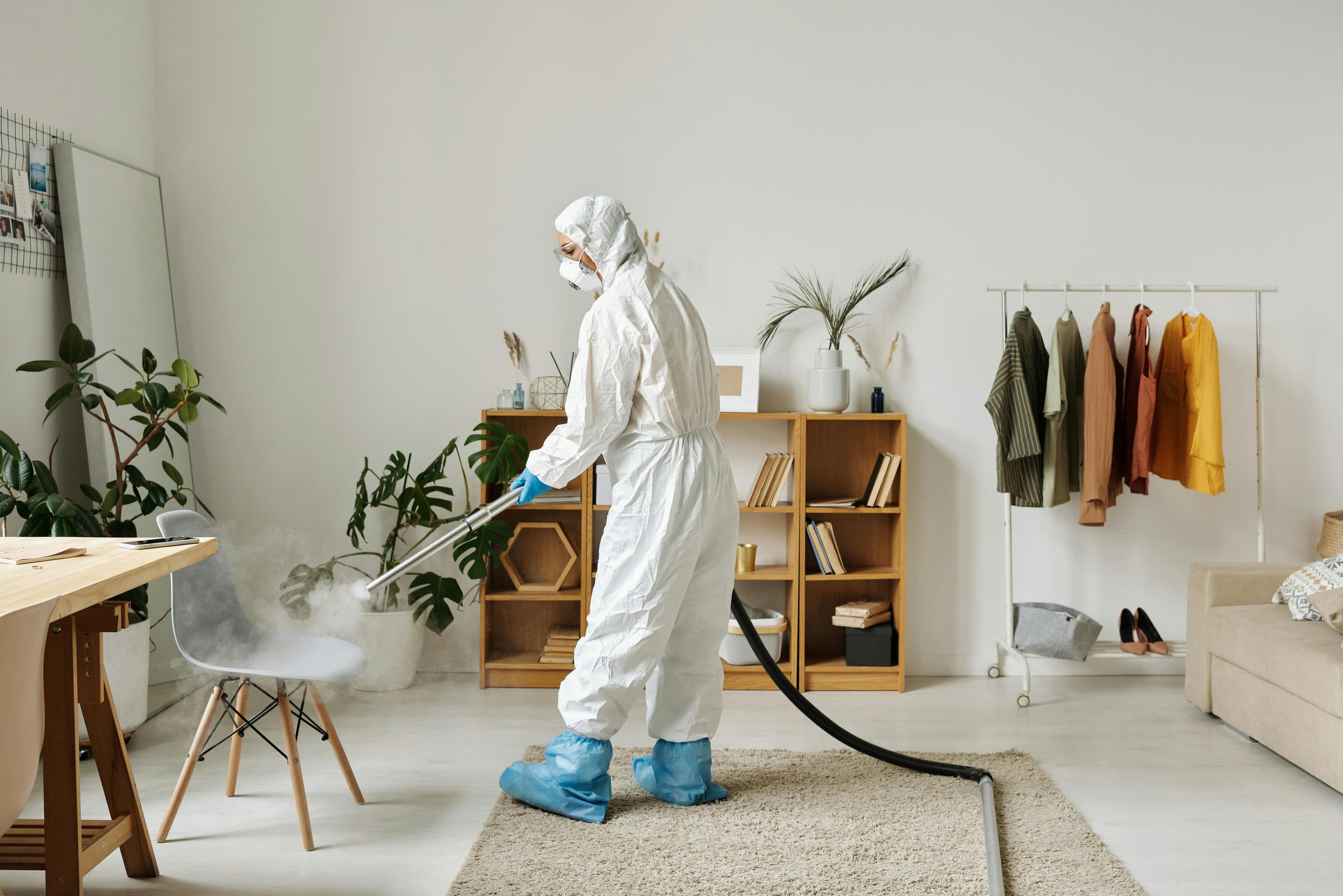 General Pest Control in Melbourne by Fortify 24/7
