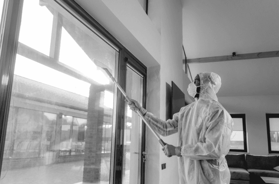 Pest control technician servicing Melbourne CBD & Inner City, Melbourne